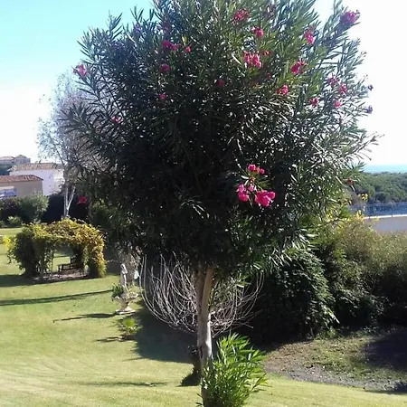 Mimosas Cabopino 2 Bed Апартаменты *