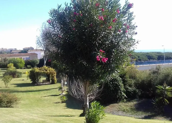 Mimosas Cabopino 2 Bed Daire *